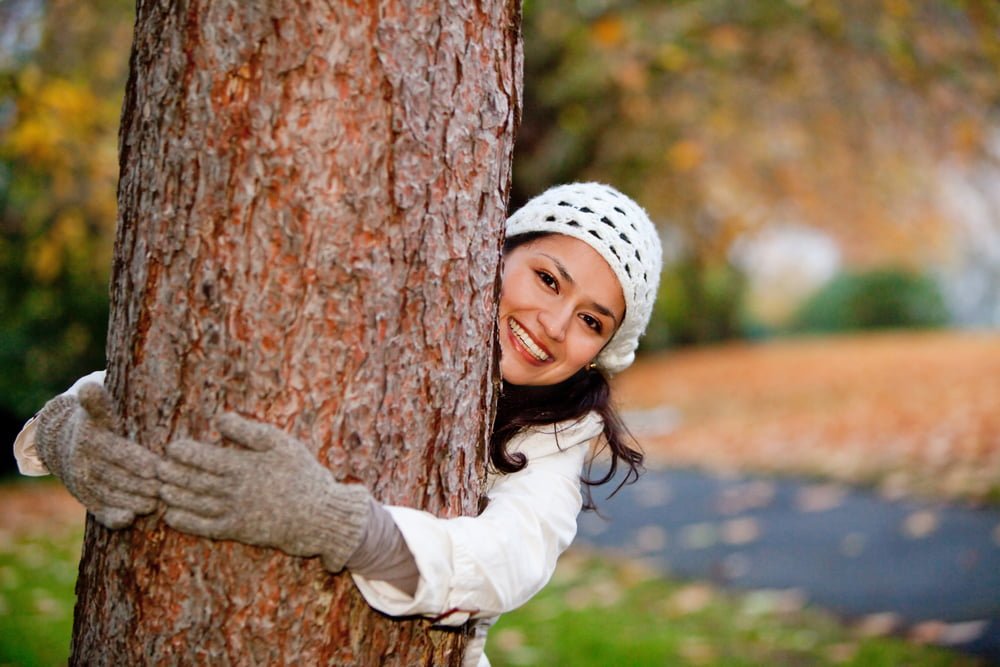 Fall Tree Care Tips Millcreek Garden, All Weather Tree Care And Landscaping
