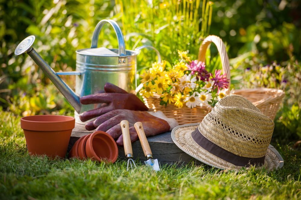 Gardening Supplies & Tips to Stay Safe | Millcreek Gardens
