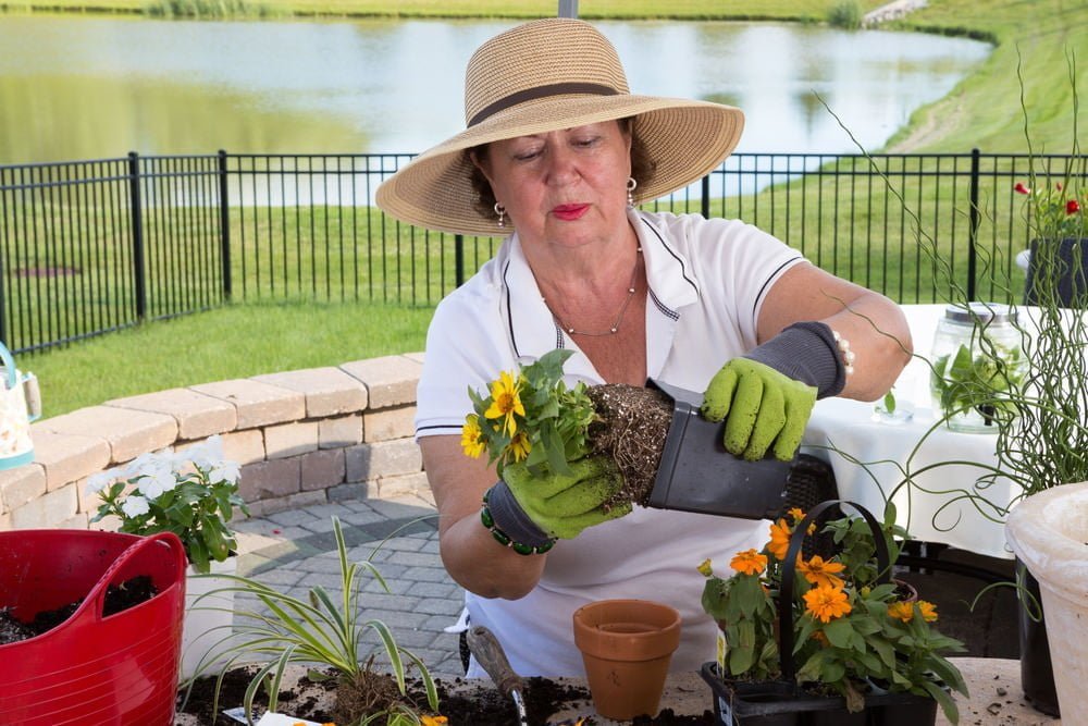 How to Repot Your Outdoor Plants