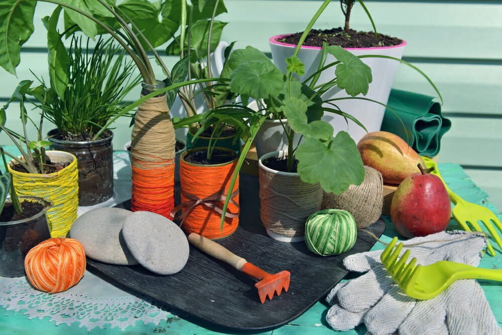 What Gardening Supplies Do You Need to Grow a Vegetable Garden? 