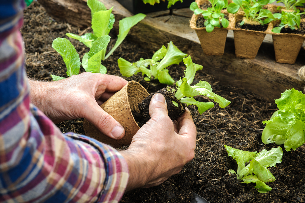 gardening health benefits strength
