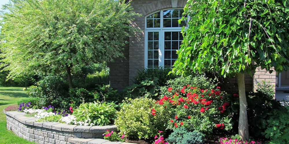 Millcreek Gardens-Salt Lake City-Utah- Tips for Designing a Stunning Front Yard-trees in garden